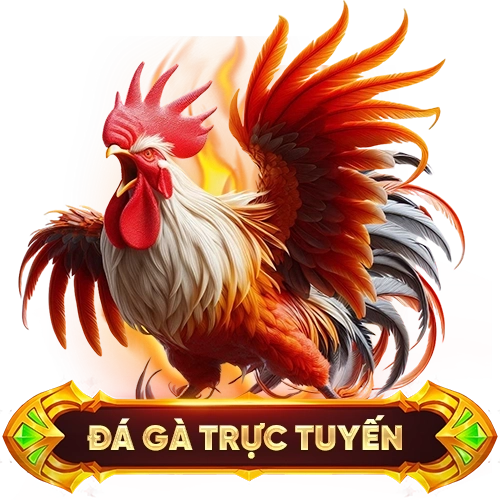 đá gà trực tuyến FIVE88